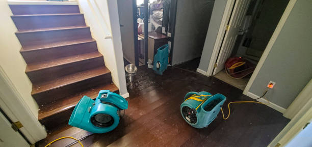 Best Water damage contractors near me  in Durham, OR