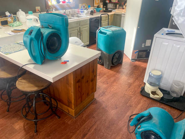 Best Basement water damage restoration  in Durham, OR
