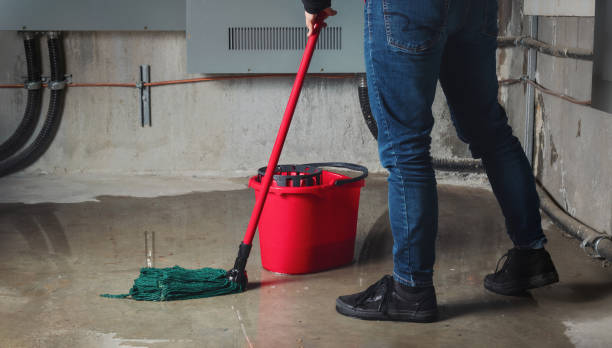 Best Water damage repair service  in Durham, OR
