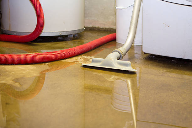 Best 24/7 water damage repair  in Durham, OR